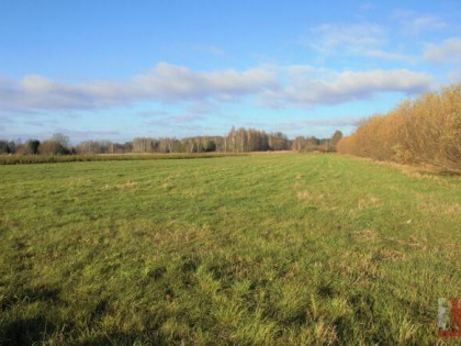 Działka siedliskowa Kuriany gm. Zabłudów