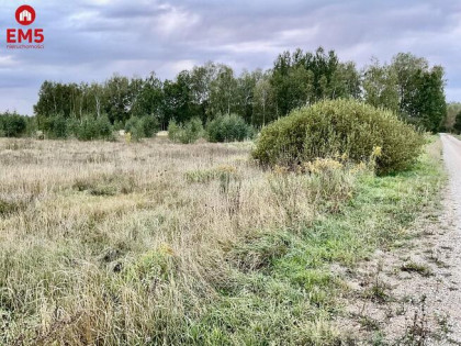 Działka rolno-budowlana Sobolewo gm. Grabówka