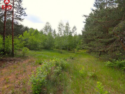 Działka rolna Płaska Centrum