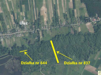 Działka leśna Ułęż
