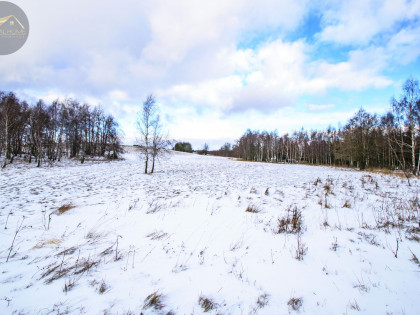 Działka Michałkowa