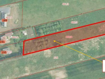 Syndyk sprzeda nieruchomość