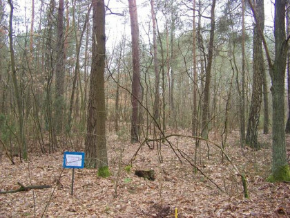 Działka dla miłośników przyrody