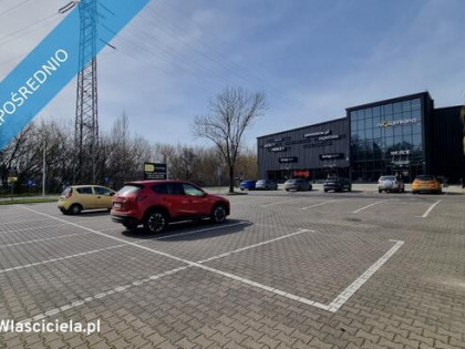 Lokal 137 m2 do wynajęcia np. pod BIURA, SALĘ JOGI, SZKOŁĘ JĘZYKOWĄ, itp.