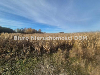 Działka Łochynia gm. Mykanów