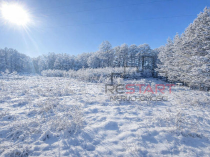 Działka budowlana Zboiska gm. Radziejowice,