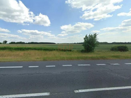 Działka inwestycyjna Myszęcin gm. Szczaniec