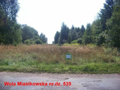 Urocza działka z przeznaczeniem na zabudowę