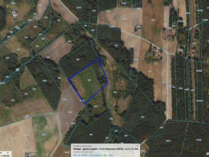 Duża, zadbana działka z możliwością podziału na mniejsze