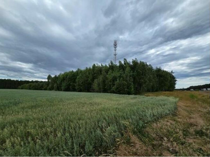 Nieruchomość niezabudowana - Zagaje