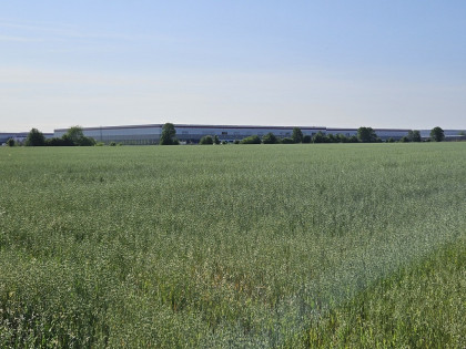 Przetarg - obręb 0014, Szamoty