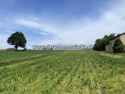 Działka budowlana Mszana