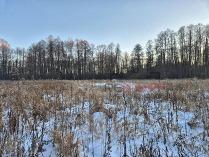 Działka inwestycyjna Adamów-Wieś gm. Radziejowice,