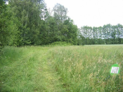 Działka Krzywośnity