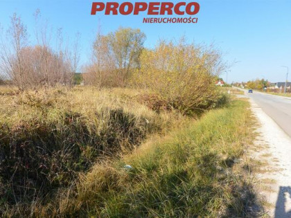 Działka Chęciny, Zelejowa