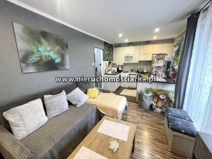 Mieszkanie Wodzisław Śląski