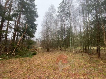 Działka Głęboczek gm. Czaplinek, Głęboczek