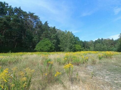 Unikat, budowlana, ostatnia taka, do metra20km, doCPK20km!