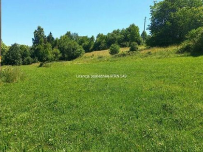 Działka rolno-budowlana Czarna Góra