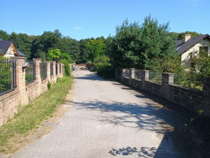 Syndyk sprzeda - Trablice