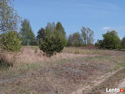 Atrakcyjne działki sąsiedztwo Zalew Cieszanowicki
