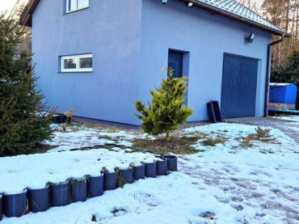 Lokal użytkowy  gm. Chodzież