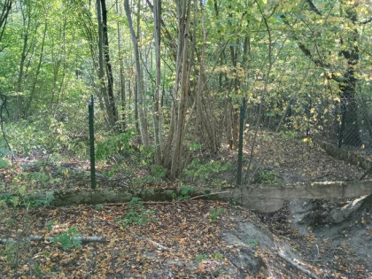 Syndyk sprzeda - Sadek