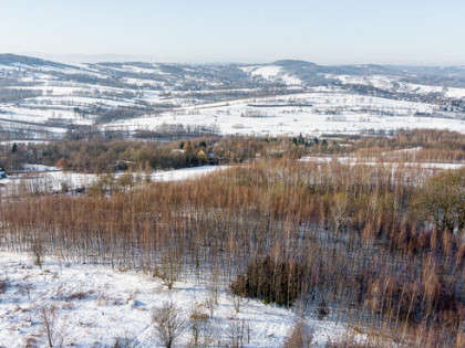 Działka leśna Grabno - gm. Wojnicz!