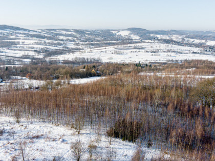 Działka leśna Grabno - gm. Wojnicz!