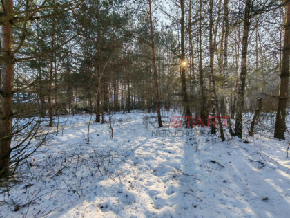Działka budowlana Władków gm. Grodzisk Mazowiecki,