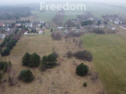 Działka z potencjałem 5306 m² Wielęcin