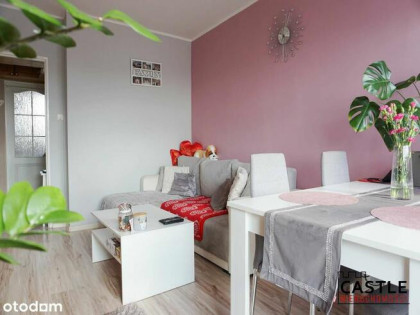 mieszkanie pod wynajem I centrum Malborka I blisko rynku I