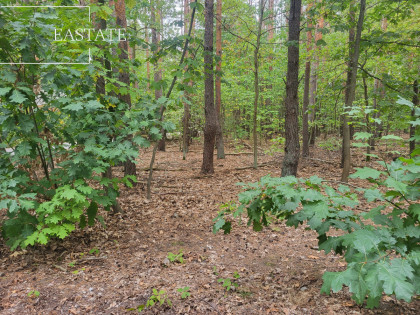 Działka Warszawa Wawer ul. Liścienia