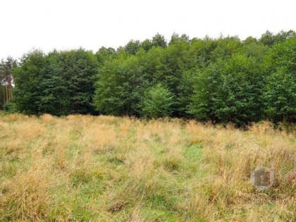 Działki otoczone lasem, powierzchnie od 1543 m2