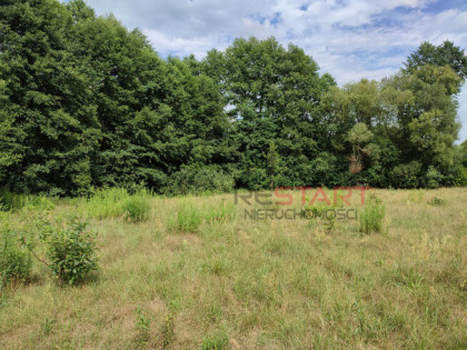 Działka budowlana Adamów-Wieś gm. Radziejowice,