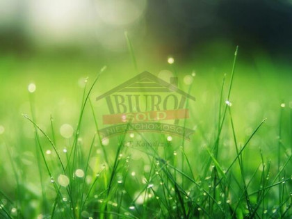 CHRZĄSTOWICE/Działka budowlana 12,5a!