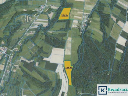 Działka leśna Wolica gm. Bukowsko,