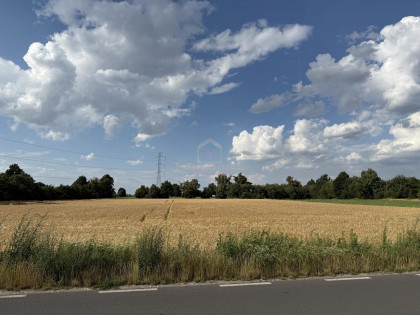 Działka Krzyżowice