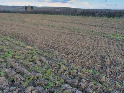 Sprzedam działkę 2.3ha blisko Sandomierza