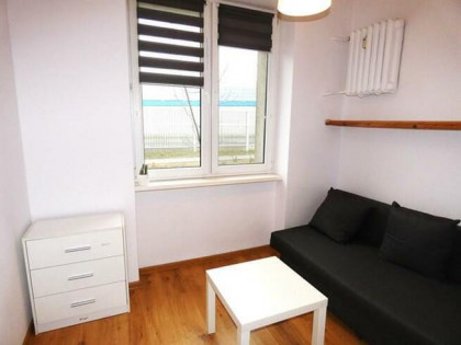 Studio przyjazne dla zwierząt Wojska Polskiego 114