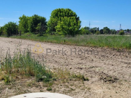 Działka budowlana Kurza Góra gm. Kościan,