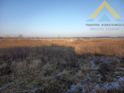 Działka rolna siedliskowa 3026 m2 , 180 tys.!