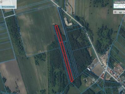 Sprzedam Las w Solcu-Zdroju