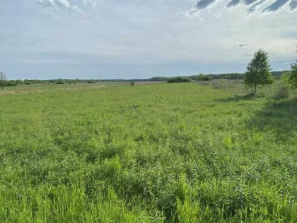 Działka rolna - Kotowa Wola