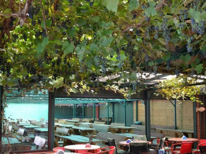 Działka budowlana Kołobrzeg