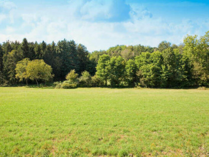 Sprzedam działkę budowlaną