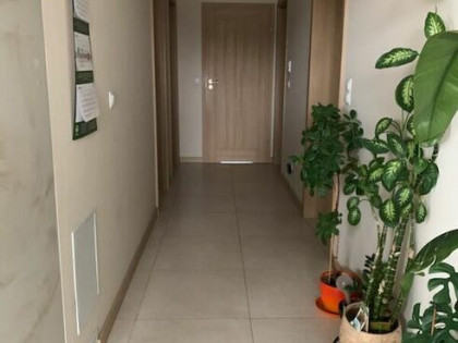 Wiskitki - nowy, wykończony dom na dużej działce