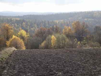 Działka widokowa, 0.5ha, południowy stok,. Kulerzów.