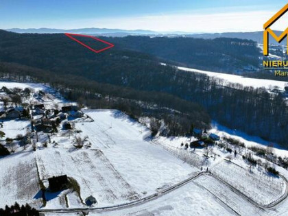 Działka leśna Świebodzin gm. Pleśna