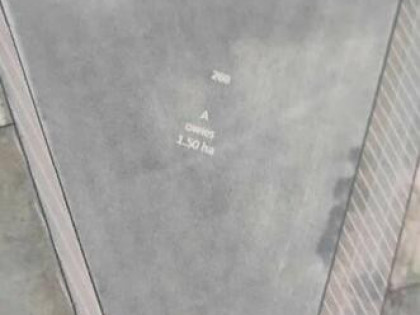 Działka rolna 1,5 ha Kolechowice